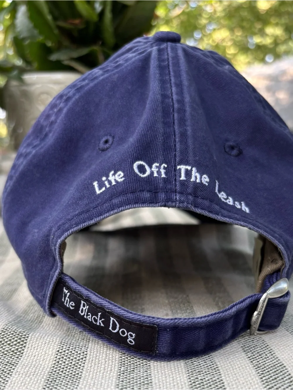 The Black Dog adjustable look personalized
